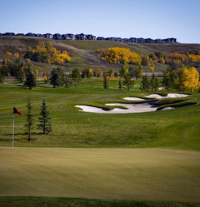 18 Green Fall Colors Copy 3